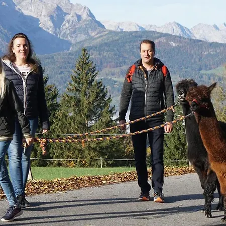 Alpensportchalet 別荘 *