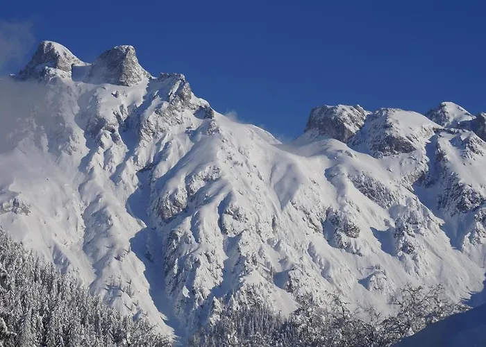 Alpensportchalet Tatil Evi Werfenweng