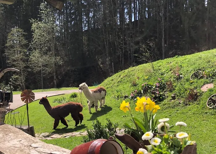 Tatil Evi Alpensportchalet